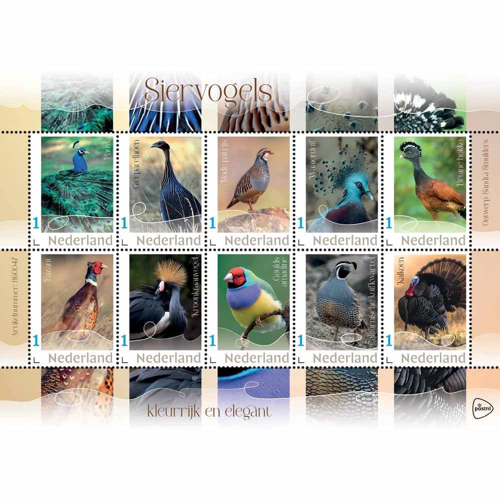Siervogels kleurrijk en elegant stamp sheet