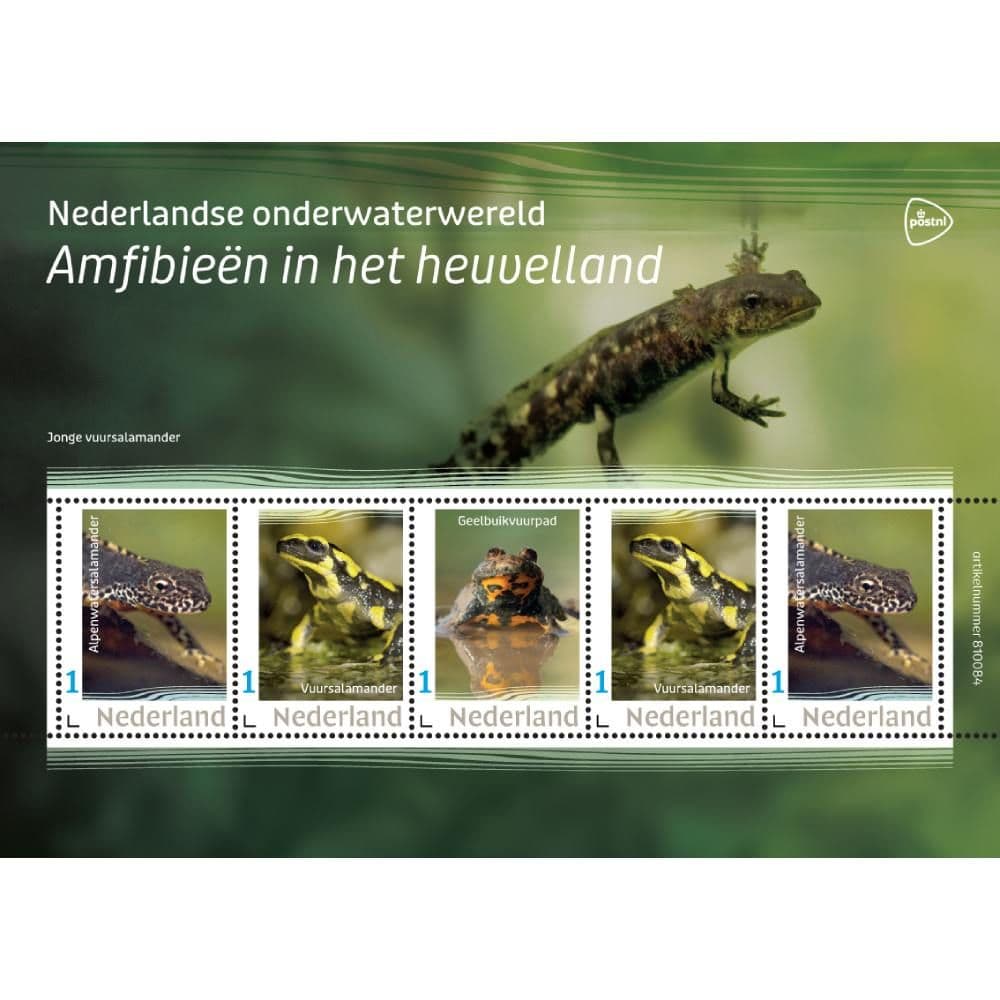 Nederlandse onderwaterwereld – Amfibieën in het heuvelland (postzegelvel)