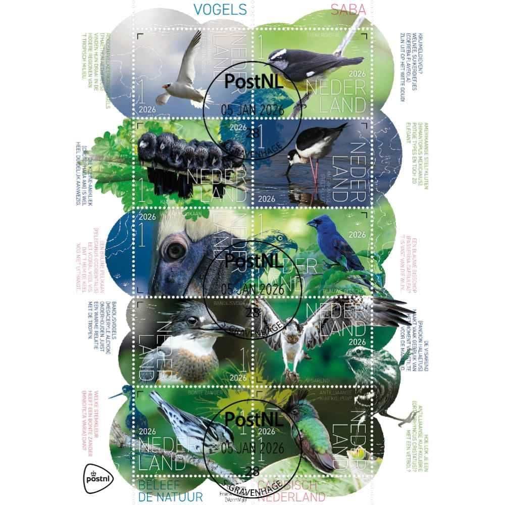 Beleef de natuur - vogels Saba (gestempeld postzegelvel)