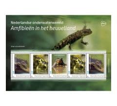Nederlandse onderwaterwereld – Amfibieën in het heuvelland (postzegelvel)