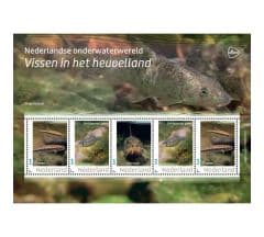 Nederlandse onderwaterwereld – Vissen in het heuvelland (postzegelvel)
