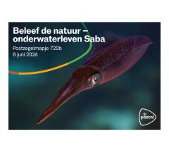 Beleef de natuur - onderwaterleven Saba (postzegelmapje nr. 720b)